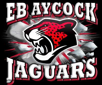 jaguars 