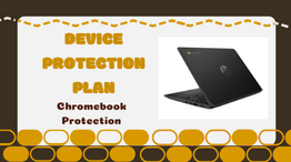  Device Protection Plan Information