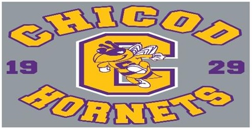 Chicod Hornets 1929 