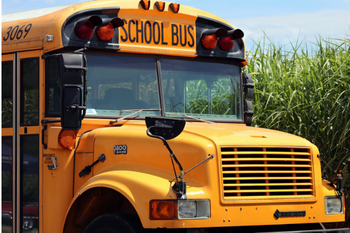  BusInfo