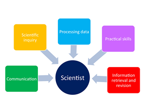 Scientist diagram 