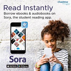 sora1 