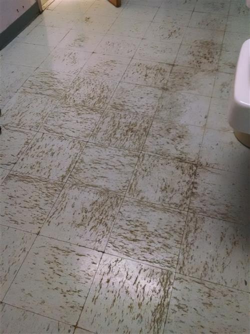 Floor Tile Glue Floor Tile Glue