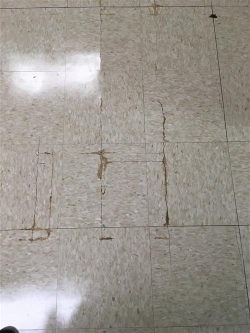 Floor Tile Glue