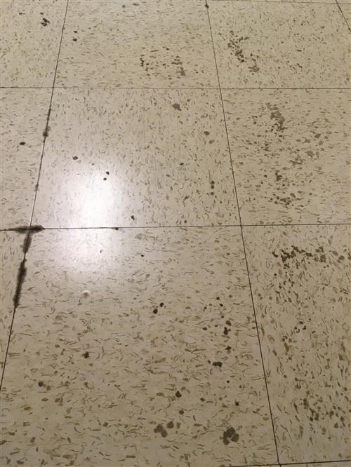 Floor Tile Glue
