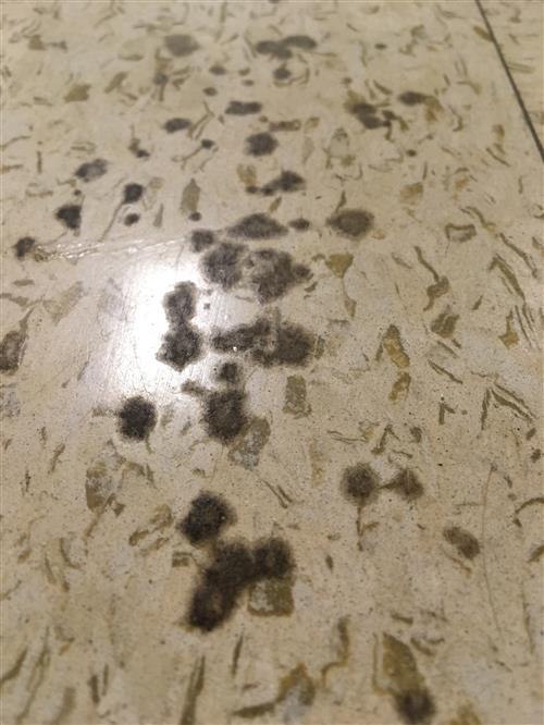 Floor Tile Glue