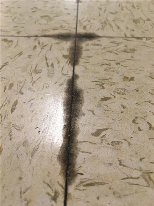 Floor Tile Glue
