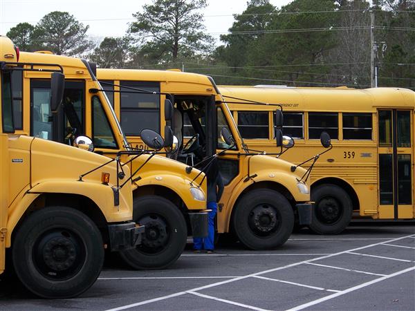 Buses