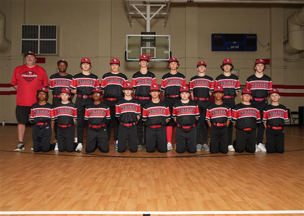 Baseball 24